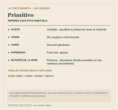 Fiche technique : Primitivo : Un nom italien, une histoire qui traverse l’Adriatique