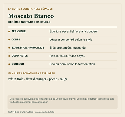 Fiche technique : Moscato Bianco : Le parfum du raisin, du fruit aux fleurs
