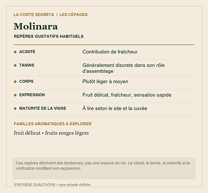Fiche technique : Molinara : La fraîcheur discrète des raisins de Vérone