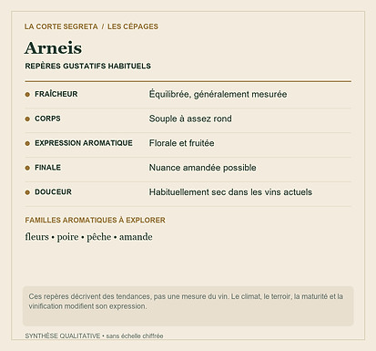 Fiche technique : Arneis : Le blanc du Roero revenu de l'oubli