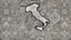 fondo della corte segreta.webp