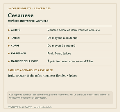Fiche technique : Cesanese : Deux cépages du Latium derrière un même nom
