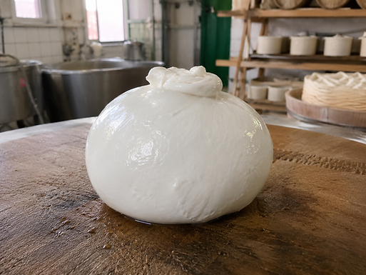 La Mozzarella di Bufala Campana DOP