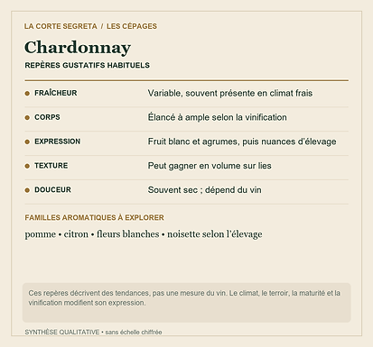 Fiche technique : Chardonnay : Un même raisin, du blanc tendu aux grandes bulles