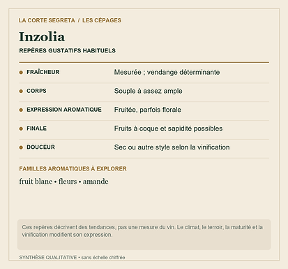 Fiche technique : Inzolia : Un raisin méditerranéen, du Marsala aux blancs secs