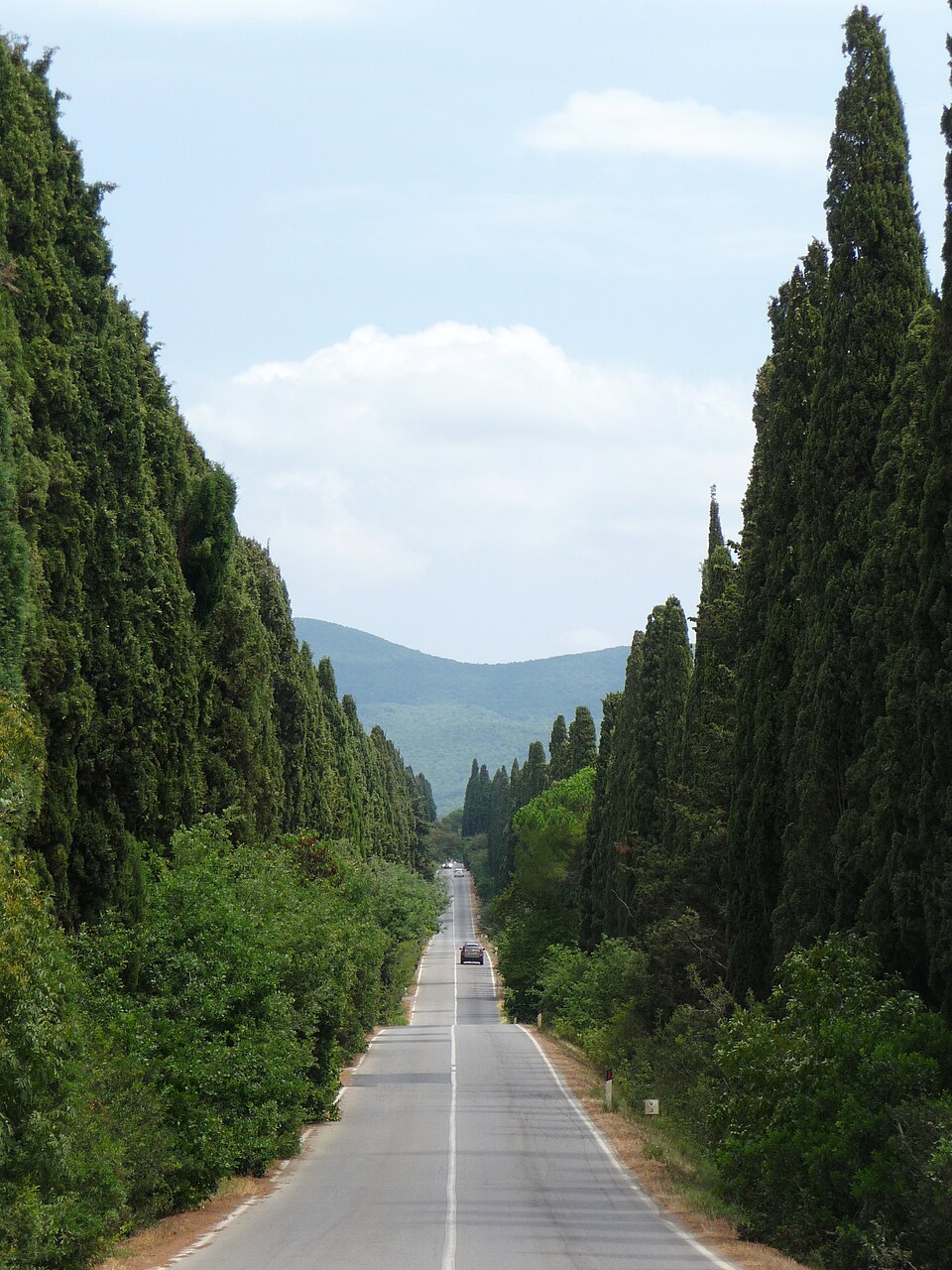 Le viale dei Cipressi à Bolgheri, en Toscane — Lucarelli, Wikimedia Commons, CC BY-SA 3.0. Vue du territoire, sans représentation des parcelles de San Guido. Seconde image : régions, lieux viticoles et cépages de la maison.