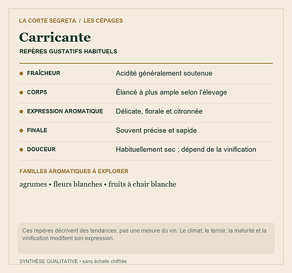 Fiche technique : Carricante : L'acidité et la précision des blancs de l'Etna