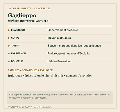 Fiche technique : Gaglioppo : La personnalité calabraise et une famille révélée par la génétique