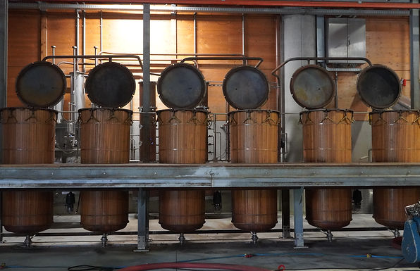 Rangée d’alambics ouverts dans la distillerie Nonino à Percoto.