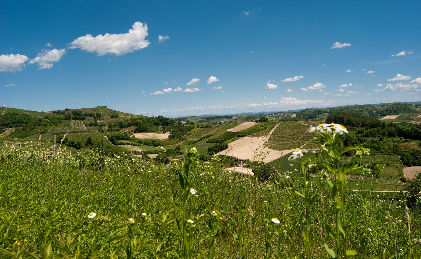 Panorama du Roero à Canale, village de la maison Mario Costa — Virginia Scarsi, Wikimedia Commons, CC BY-SA 3.0. Seconde image : régions, lieux viticoles et cépages de la maison.