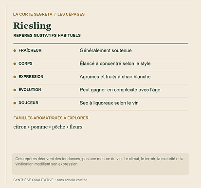 Fiche technique : Riesling : La fraîcheur qui traverse les styles et les années