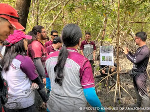 Educação ambiental aproxima estudantes do maior manguezal do planeta