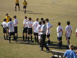 2011-Vipers