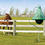 Thumbnail: Horse Fly Trap - Large