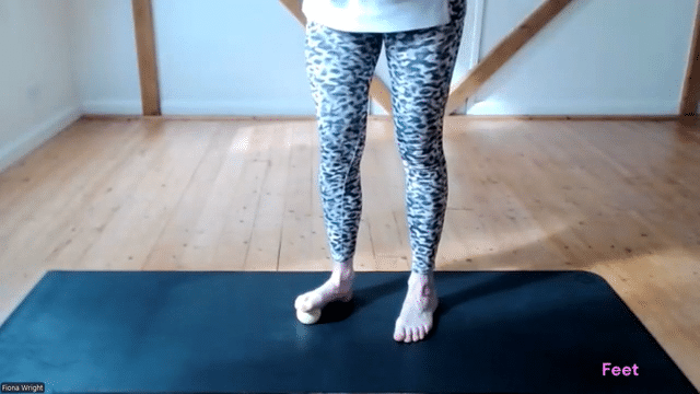 Feet 14-04-26-low.gif