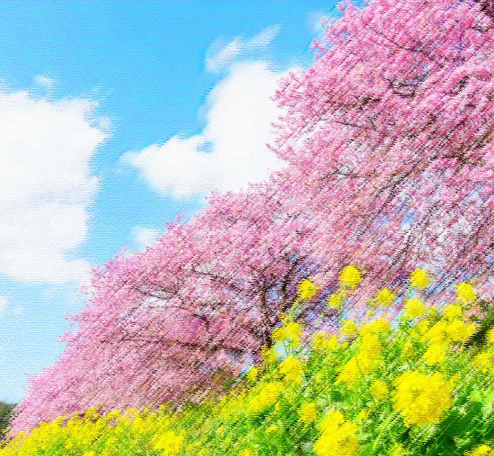 春