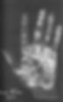 A dark image of the hand of the writer, Mark Twain as an example of the writer's fork in palmistry