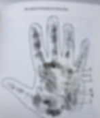 A palm print image of psychiatrist, Henri Rey taken from T.Stokes ground-breaking book '50 case studies in modern palmistry.' Writer’s Fork meaning