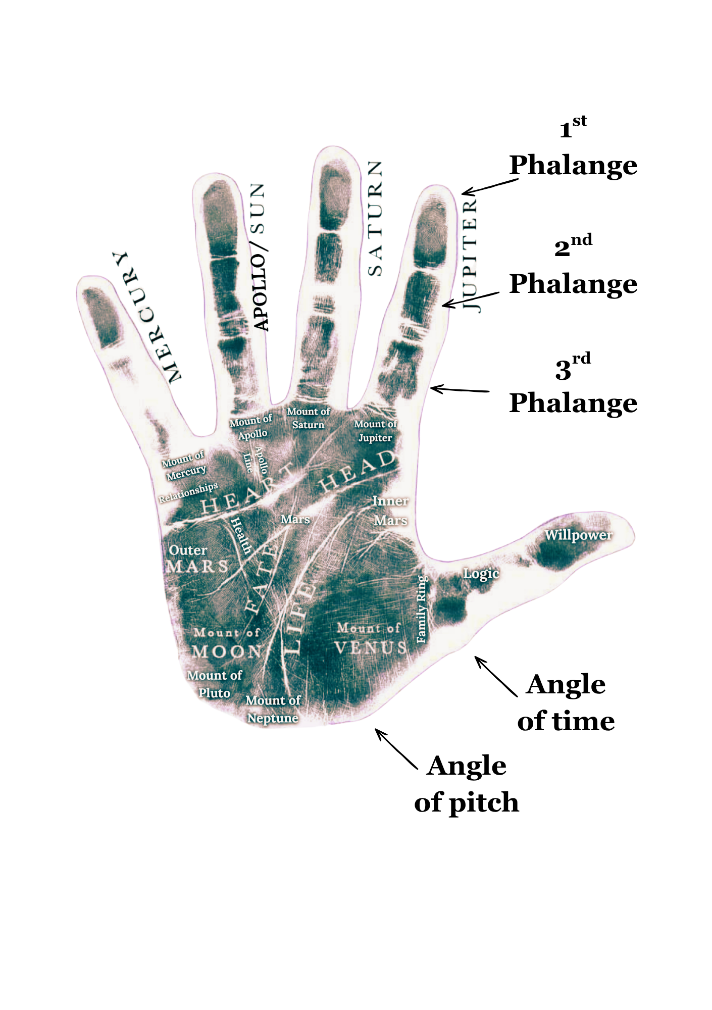 visual map of the palm's lines for reference in a written palm reading