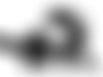 No Longer a Honey Badger