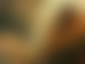 I Didn't Write the Book, and It's a Good Thing I Didn't