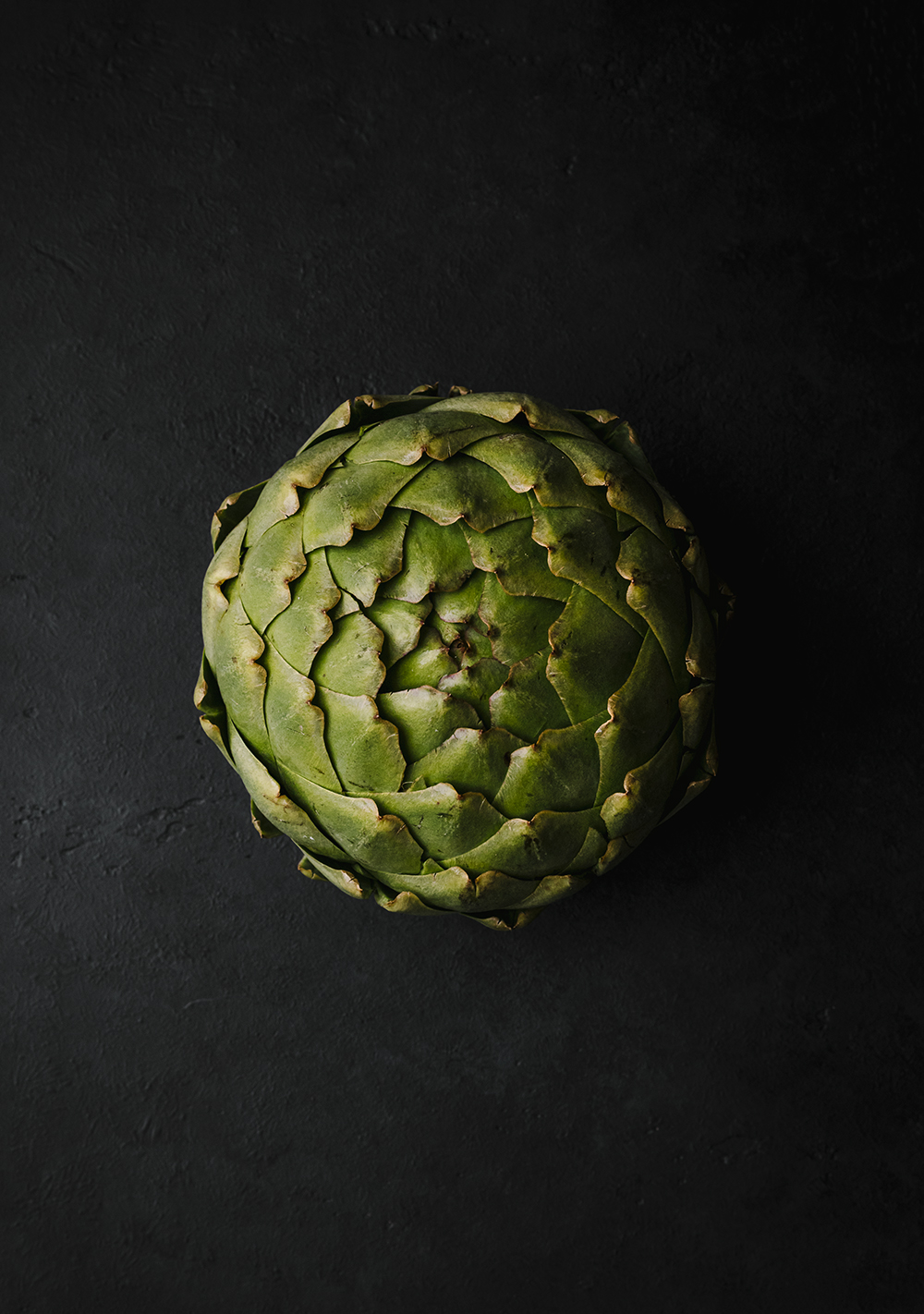 Artichoke on black background