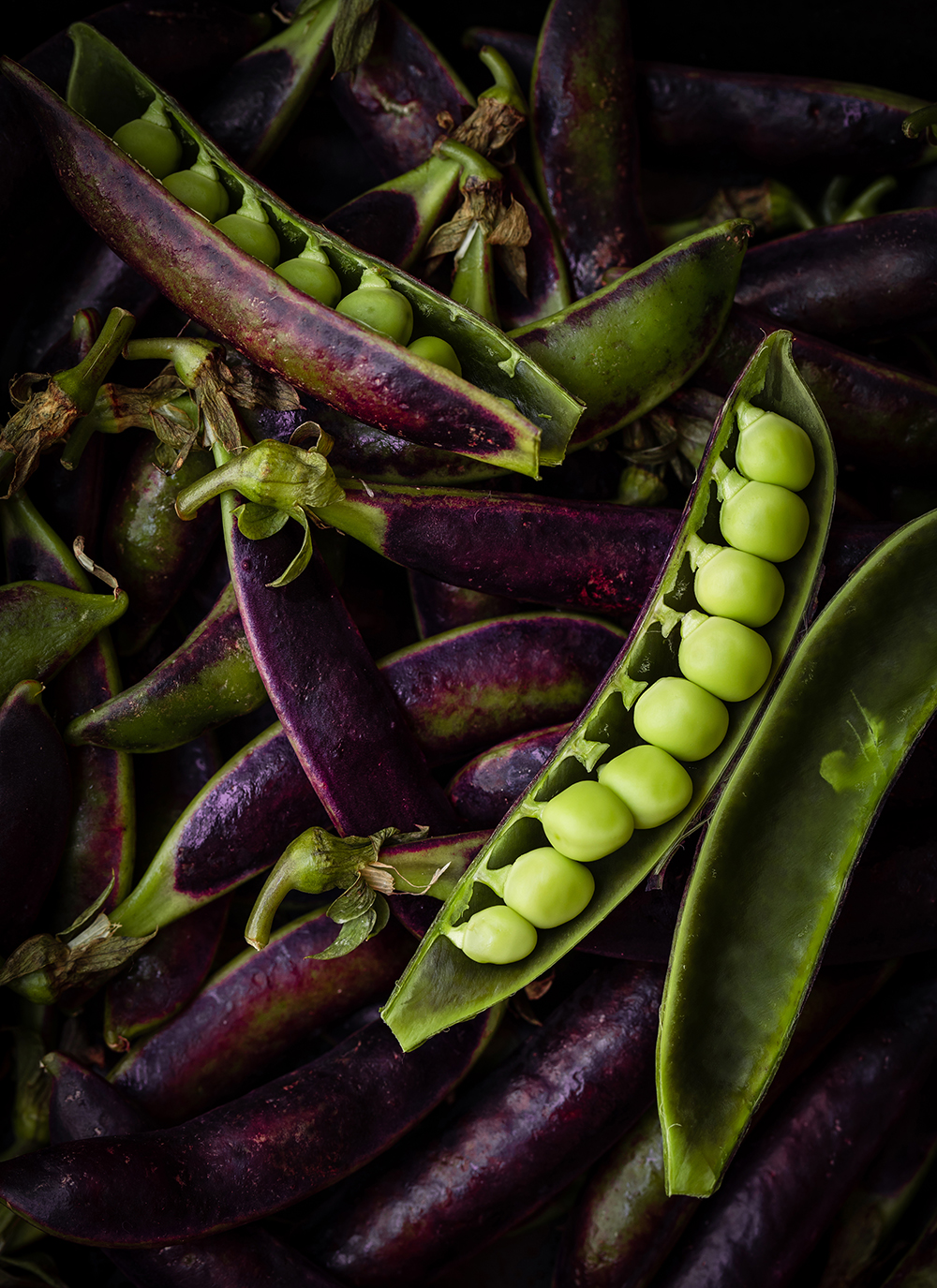 Purple and green sugar snap peas