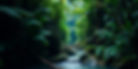 A lush green rainforest with some water, _wide horizontal format.jpg