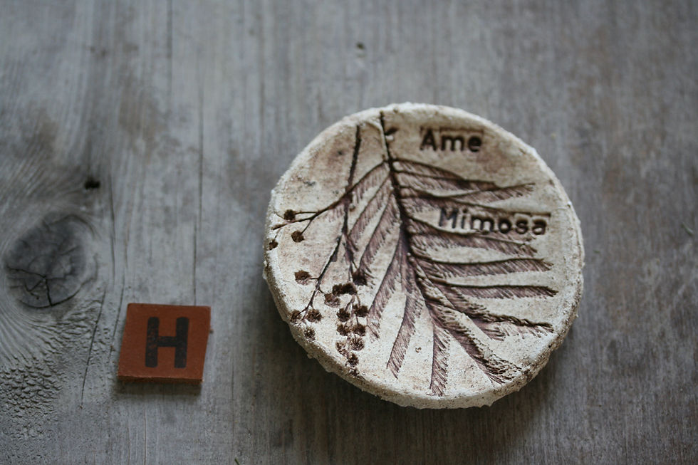 Miniature : Coffret Âme Mimosa