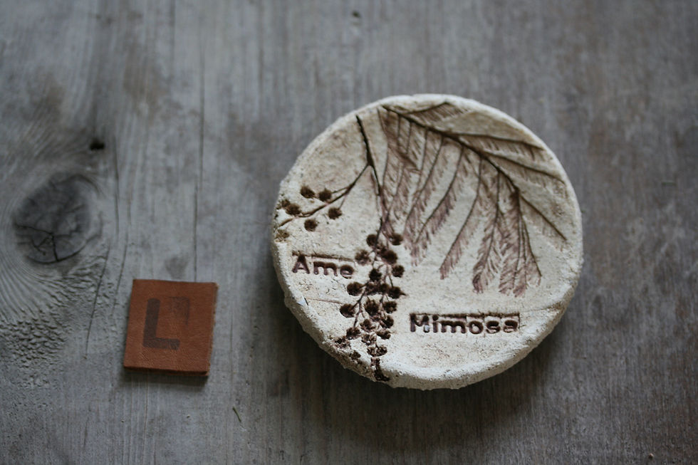 Miniature : Coffret Âme Mimosa