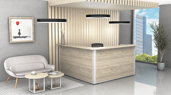 BARRETT - RECEPCION ESCUADRA.PNG