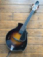 5 string mandolin