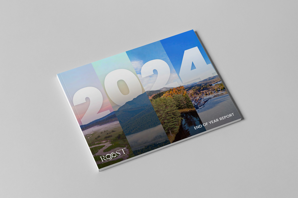 The Regional Office of Sustainable Tourism/Lake Placid