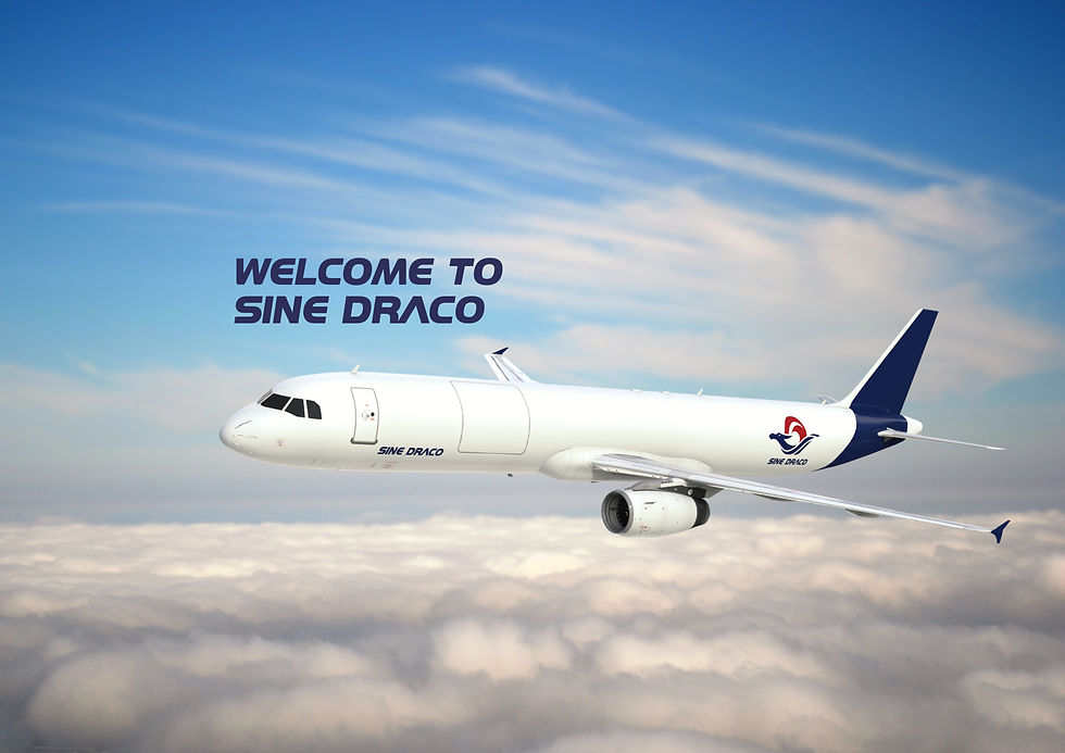 SineDraco A321-200SDF - In-flight-update.jpg