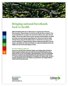 Case statement for forest restoration