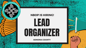Now Hiring: Lead Organizer at NBOP