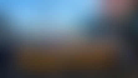 NBOP Statement on Sexual Harassment and Assault in Movement Work