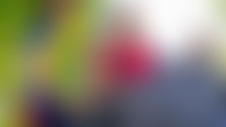 Let's Win Stronger Renter Protections in Sonoma County! Three Things You Can Do Now