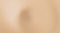 website banner haus web 1.png