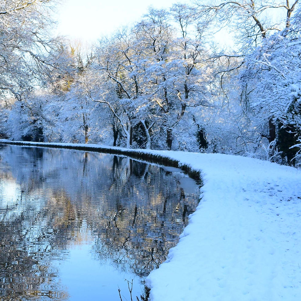 Snowy Bunbury Towpath