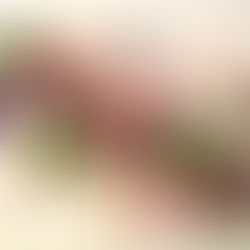 Pronti partenza VIA!