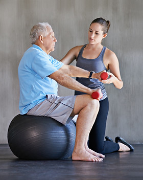 La fisioterapia alto