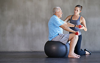 Fisioterapia geriatrica