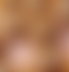 Society Recipe Of The Week - Gingerbread Cookies