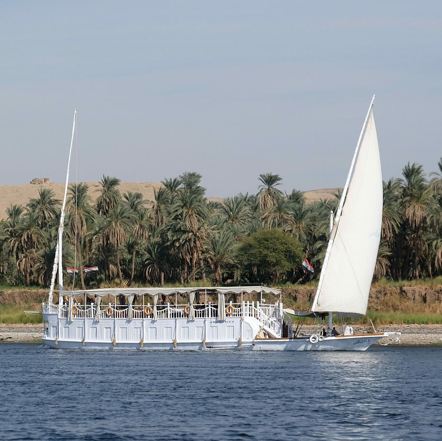 2301-minya01-scaled-e1673624079452.jpg
