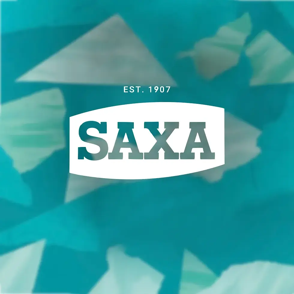 Thumbnail: Saxa Company Logo