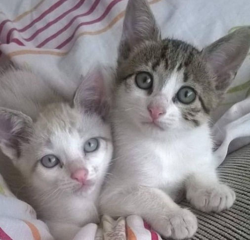 Sobre Descobertas e Permissões!