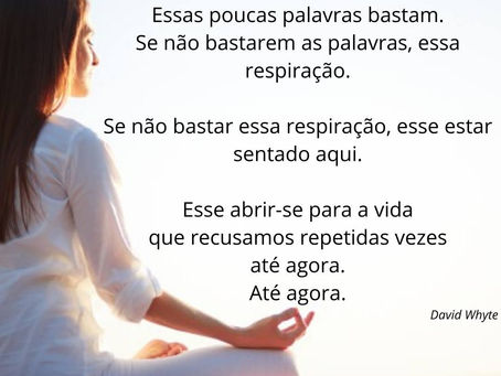 Poema Mindful - Basta - David Whyte
