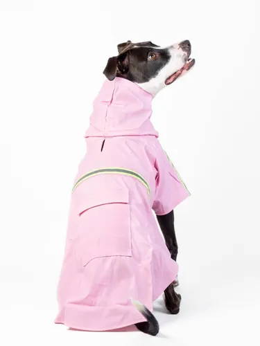 Miniatura: Capa Impermeable Perro

