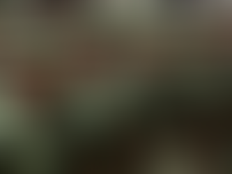 Enlisting women in NS, even non-military roles, societal costs far outweigh the benefits: Ng Eng Hen